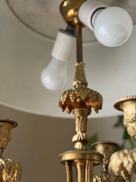 0860 Brass 3 arm bow swag bouillette lamp (works)