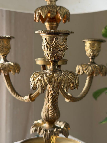 0860 Brass 3 arm bow swag bouillette lamp (works)