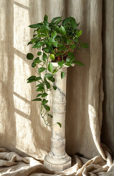 0943 Antique Italian Alabaster Pedestal Column