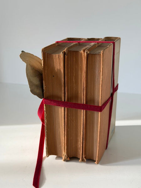 1040 1892 Set of 3 Gilt Cloth Books-English (as-is)