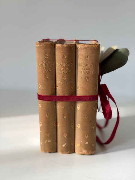 1040 1892 Set of 3 Gilt Cloth Books-English (as-is)
