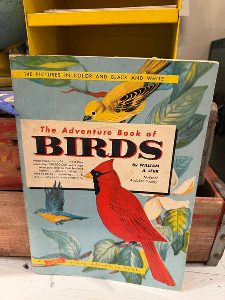 JFV ~ vintage the adventure of birds, soft cover
