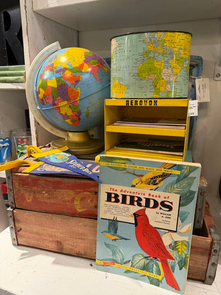 JFV ~ vintage the adventure of birds, soft cover