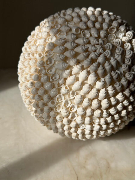 1102 Shell Sphere