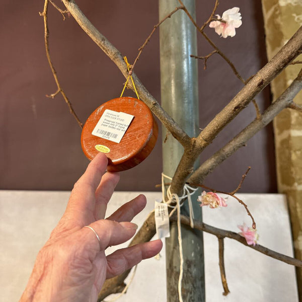 Preserved framed butterfly (each) sweet mini 3" frame ... ornament paper bodies real wings