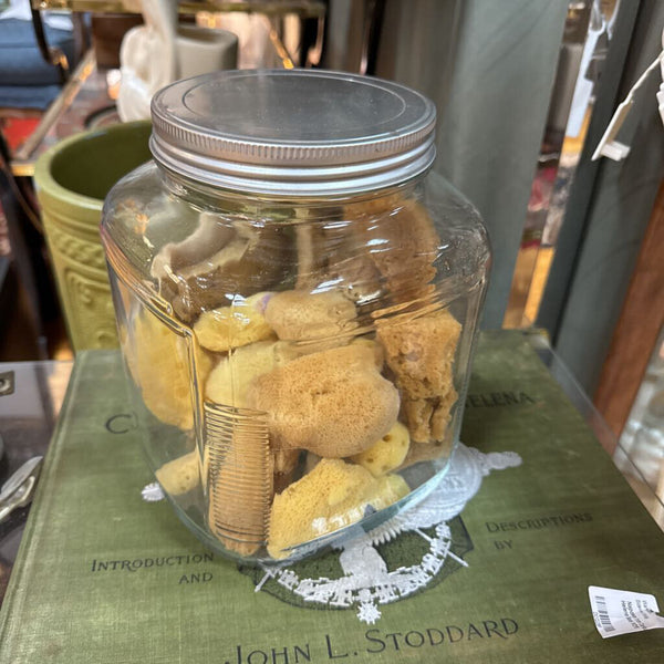 Glass Jar with Sea Sponges W2161