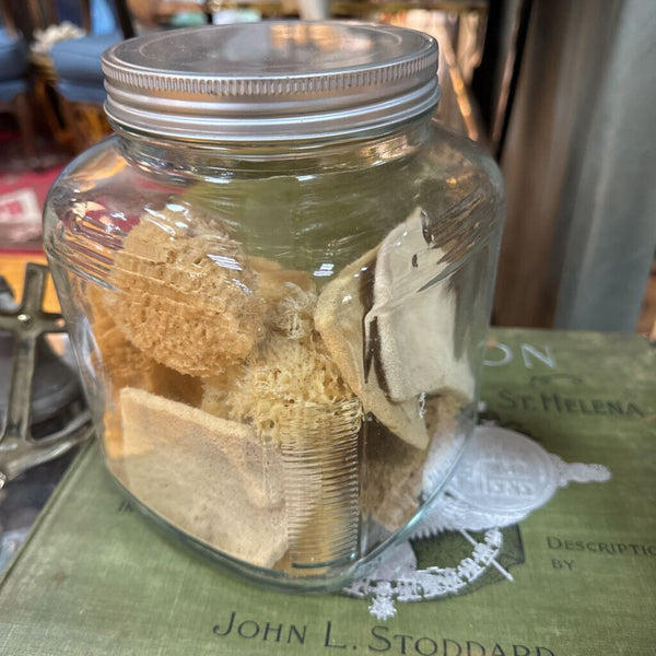 Glass Jar with Sea Sponges W2161