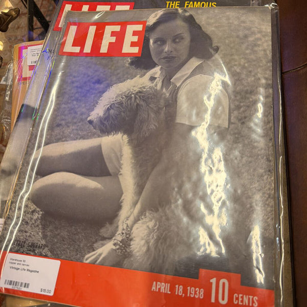 Vintage Life Magazine