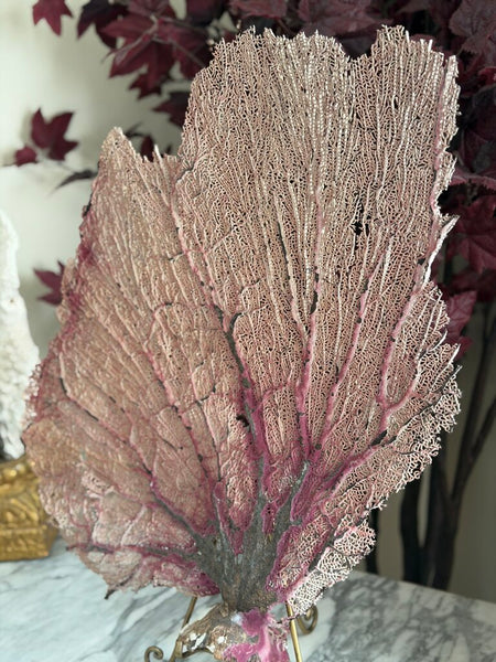 1500 Mauve/Beige Sea Fan Coral (easel NFS)