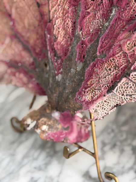 1500 Mauve/Beige Sea Fan Coral (easel NFS)
