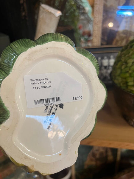 Frog Planter