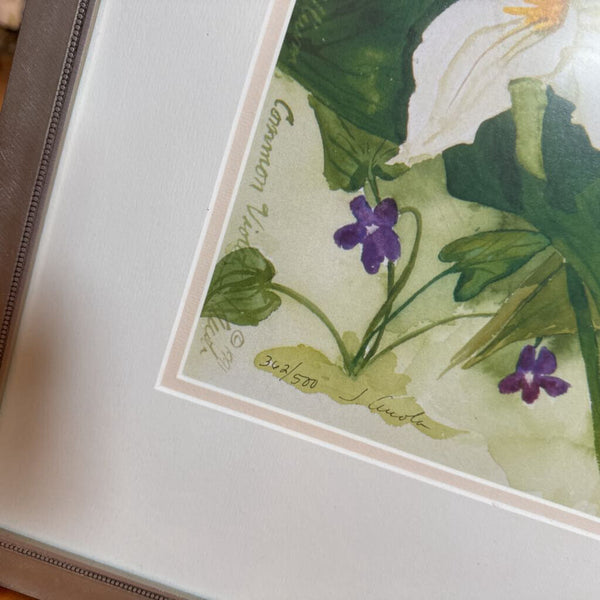 Signed framed and numbered floral limited edition print 1992