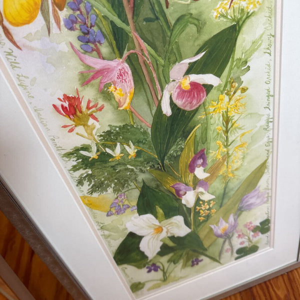 Signed framed and numbered floral limited edition print 1992