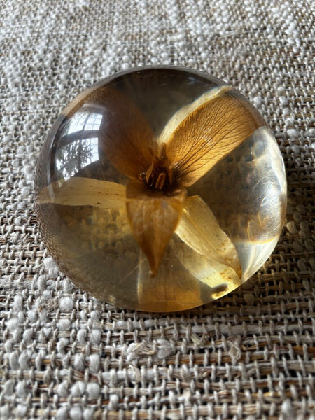 Vintage 70s Dried Flower Lucite Dome Paperweight
