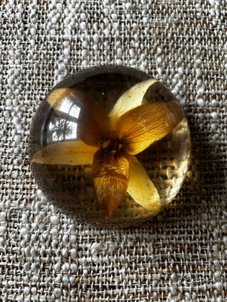 Vintage 70s Dried Flower Lucite Dome Paperweight