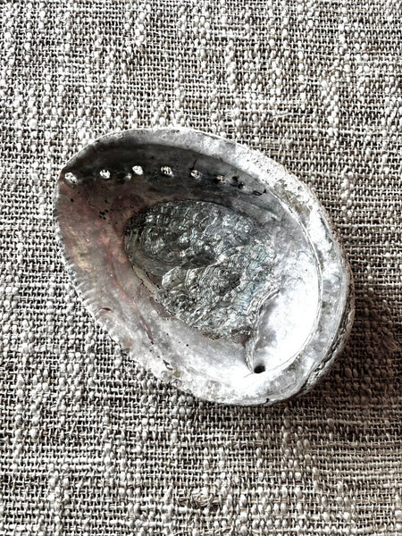 Large Natural Abalone Shell