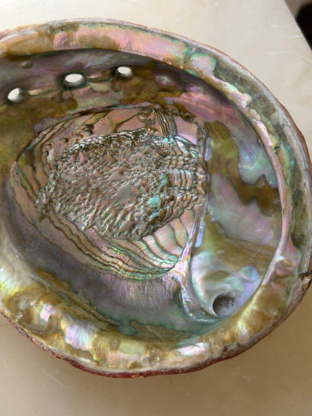 1563 Abalone Shell Trinket Dish