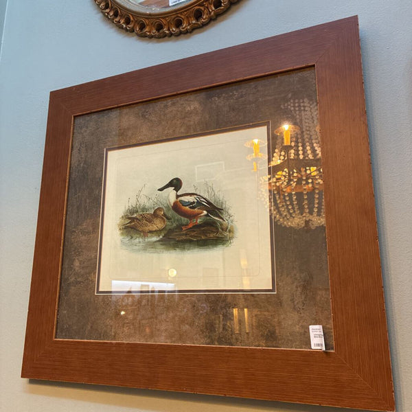 Vintage Framed Drake and Hen Shoveller Artwork 25" x 23"