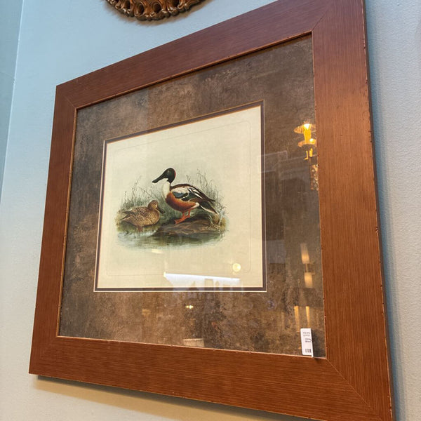 Vintage Framed Drake and Hen Shoveller Artwork 25" x 23"