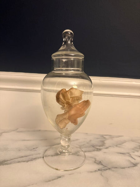 Glass Canister with doll hands 10" tall W2307
