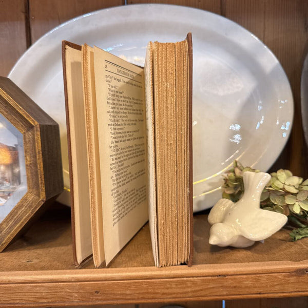 Book: Mary Robert's Richardson