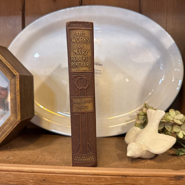 Book: Mary Robert's Richardson