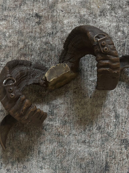 Ram Sheep Bighorn Skull Cap ~Spiraling Horns
