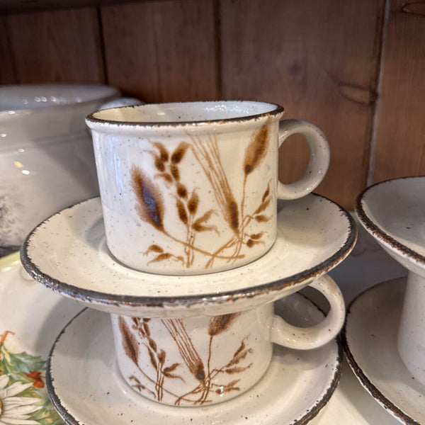 Retro cup and saucer Wedgwood midwinter oats