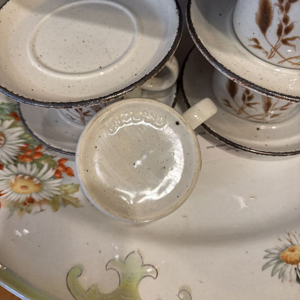 Retro cup and saucer Wedgwood midwinter oats