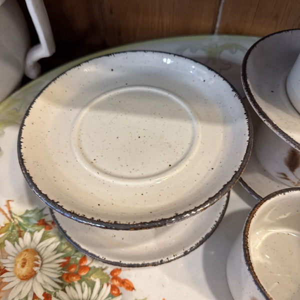 Retro cup and saucer Wedgwood midwinter oats
