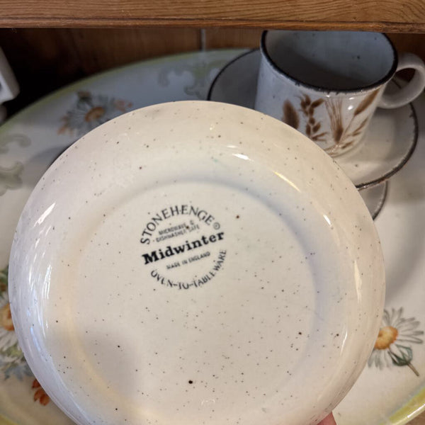 Retro cup and saucer Wedgwood midwinter oats