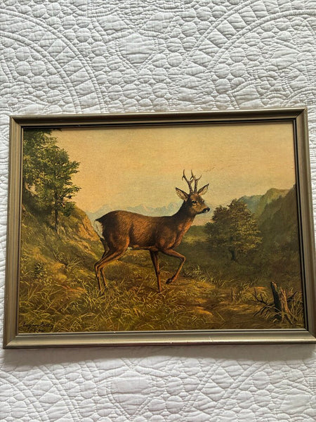 Vintage German Buck Print 1950 Eugene Ettle 13 x 17