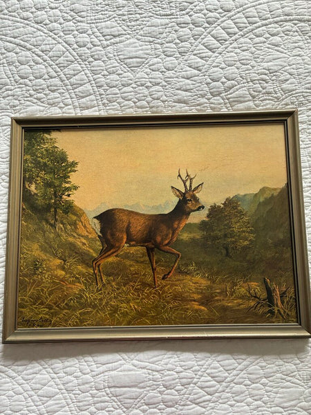 Vintage German Buck Print 1950 Eugene Ettle 13 x 17