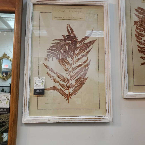 Rust Fern Print #2 17.25*25.25