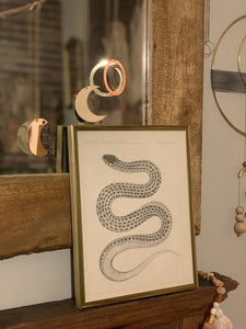 Authentic Antique surveys brass framed snake print