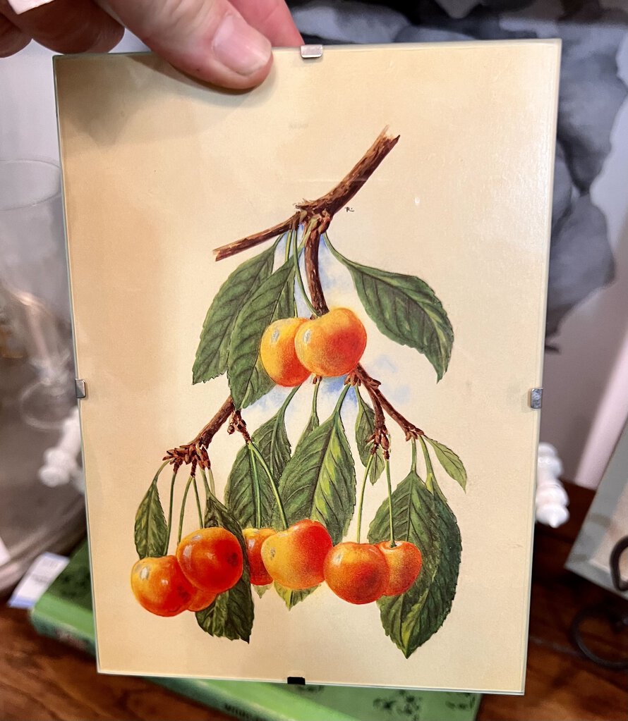 Oranges art - approx 5x7