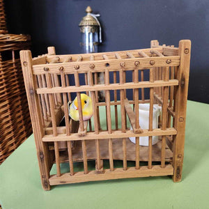 Bird in cage