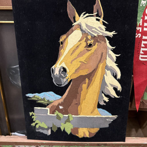 Horse PBN on velvet 12x16