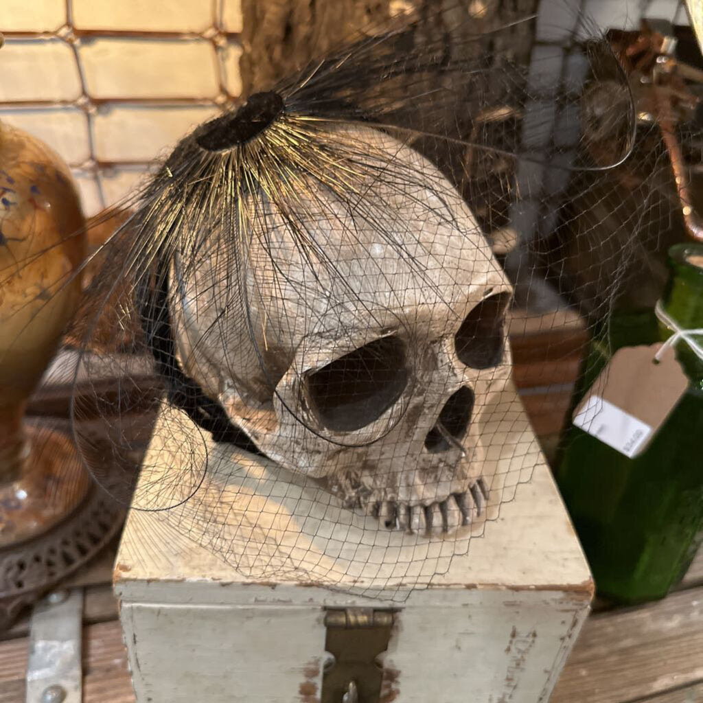 Skull w/Women's Fascinator