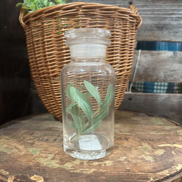 Apothecary Jar