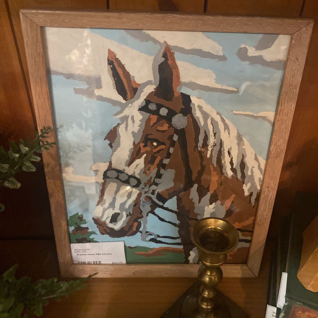 Framed Horse PBN 8.5x10.5